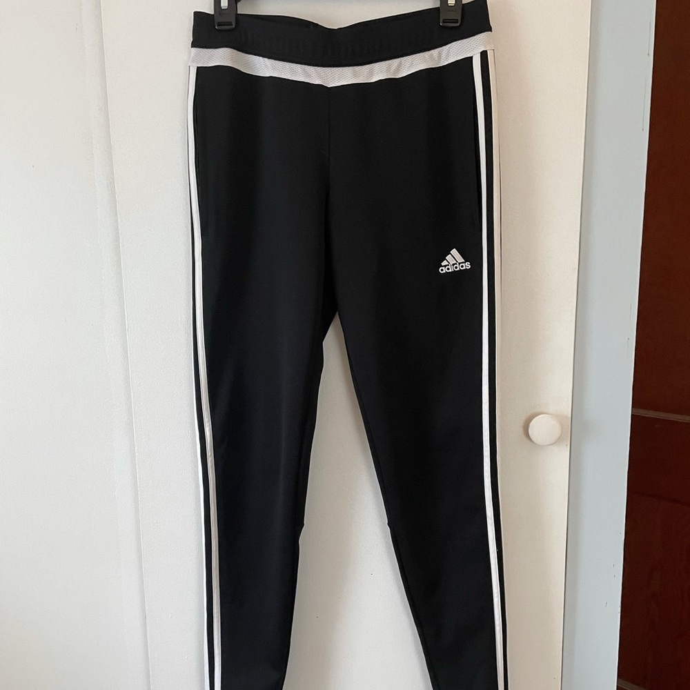 Adidas Trio 19 Training Pant